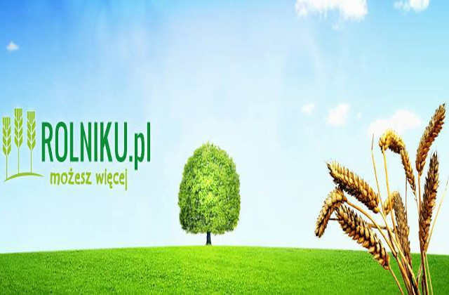 38151458_10211801092769979_4607605494553509888_n